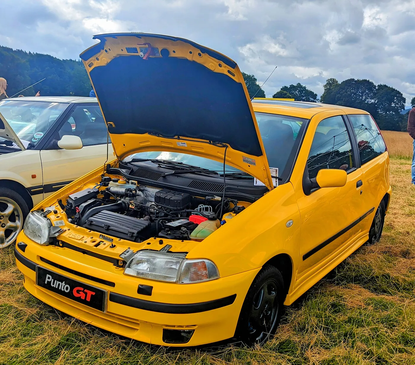 Fiat Punto — foto 2