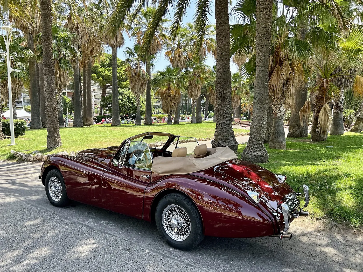 Jaguar XK140 — foto 6