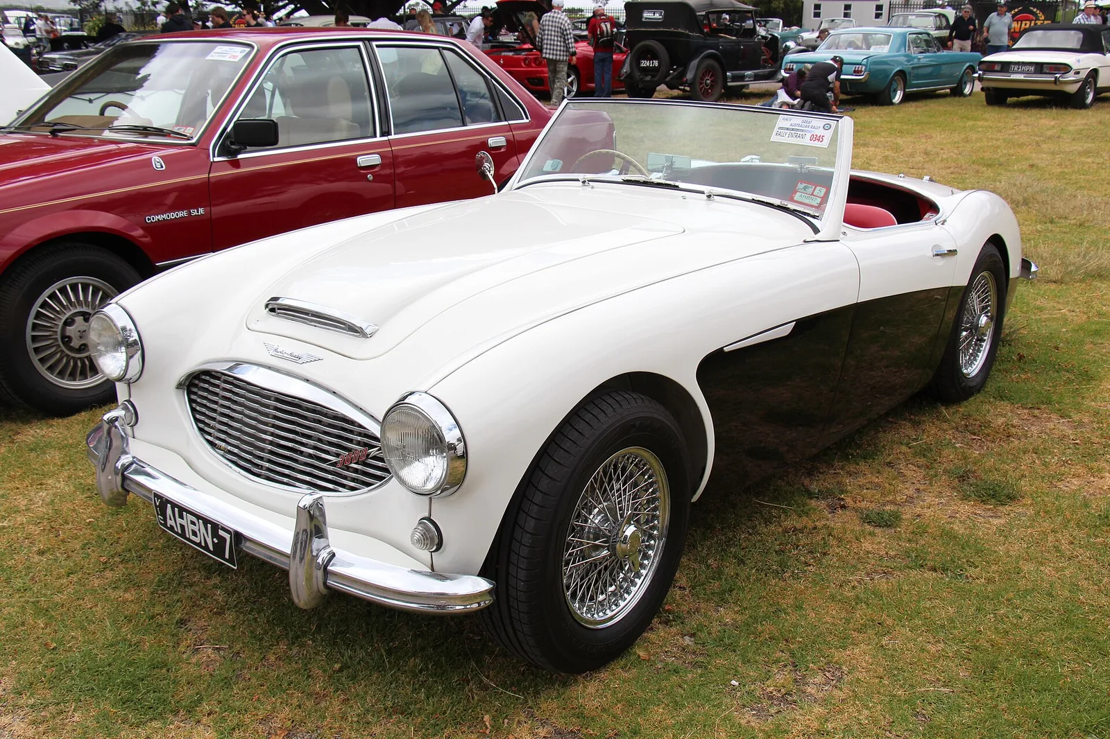 The Healey 3000 was the last of the 3 Big Healeys, the 1st was the 100 (a 4 cyl), then the 100-6 and now the last, the 3000, it was built fr