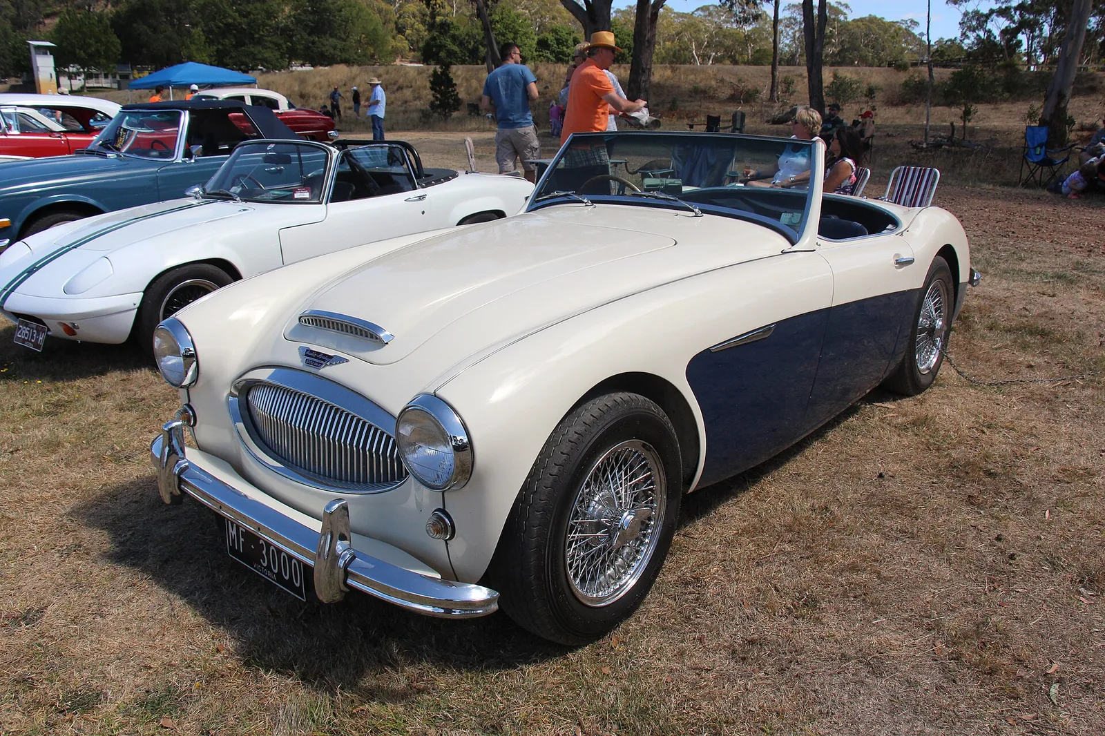 The Healey 3000 was the last of the 3 Big Healeys, the 1st was the 100 (a 4 cyl), then the 100-6 and now the last, the 3000, it was built fr