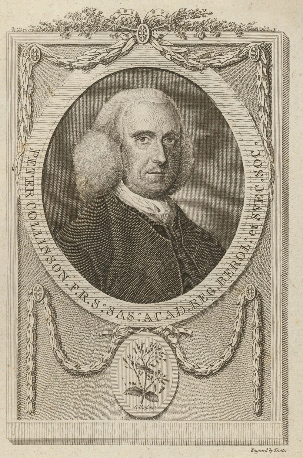 Peter Collinson (1694–1768), Fellow of the Royal Society.